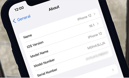 Revise la versión de iOS