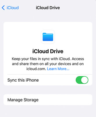 Recuperar archivos de línea de iCloud Drive