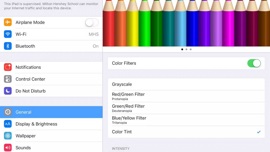 Desactive los filtros de color para corregir el color de la pantalla del iPad desordenado