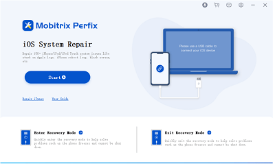 iPhone se reinicia aleatoriamente a través de perfix inicio
