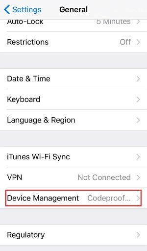 Eliminar MDM en iPhone con contraseña Paso 2