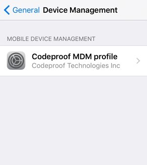 Eliminar MDM en iPhone con contraseña Paso 3