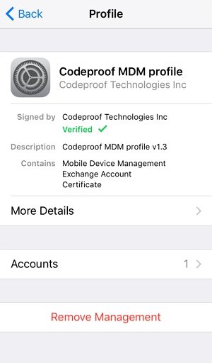 Eliminar MDM en iPhone con contraseña Paso 4