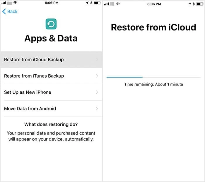 Cómo recuperar las notas de una antigua copia de seguridad de iCloud