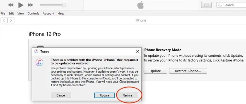 Restore iphone itunes.jpg
