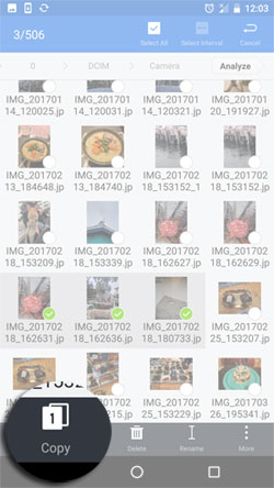Abra la carpeta de la cámara para obtener una vista previa y elija fotos