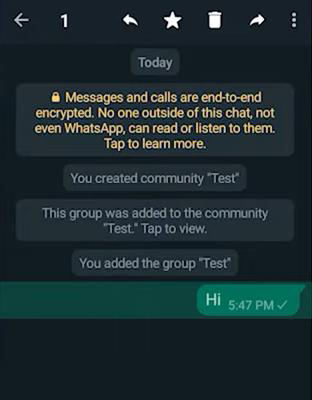 chat de selección de whatsapp