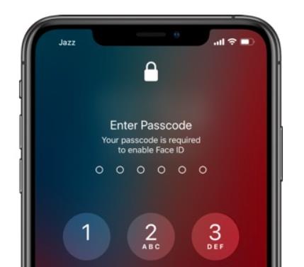 Your passcode is required to enable face id.jpg