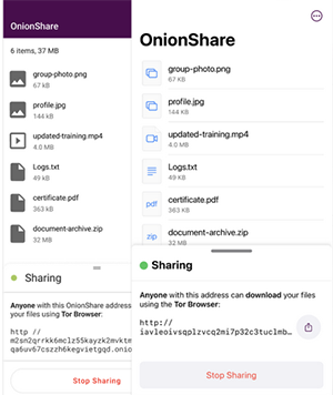 Localsend alternativa como OnionShare